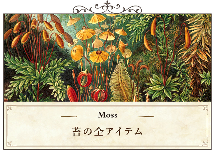 苔柄の全アイテム一覧ページへ移動する