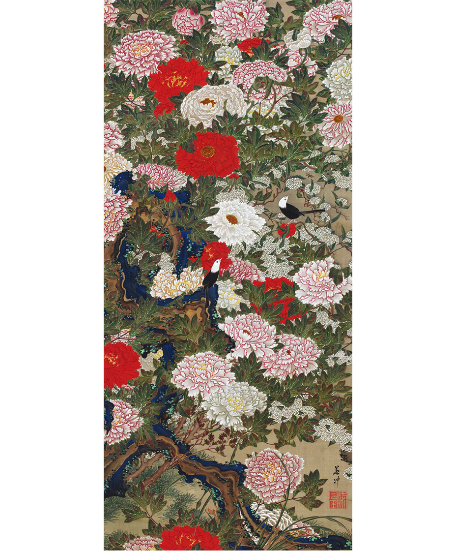 「牡丹」 伊藤若冲