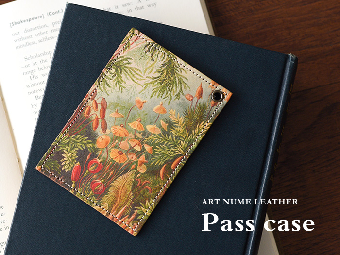 苔柄パスケースのイメージ写真