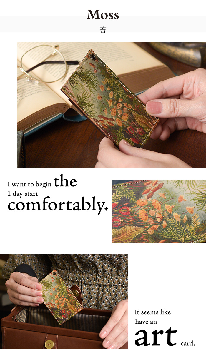 苔柄のイメージ写真３枚