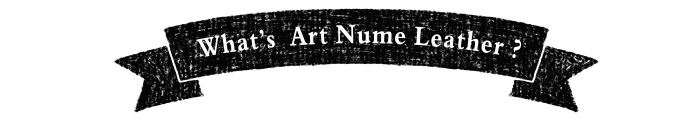 What's Art Nume Leather?