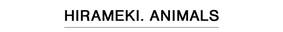 hirameki.animalsのラインナップ