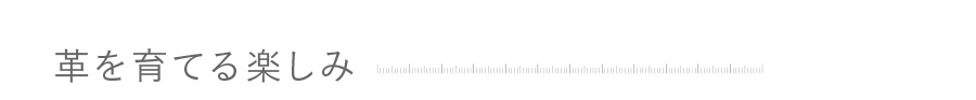 革を育てる楽しみ