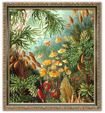 苔柄のアイテム一覧ページへ移動する