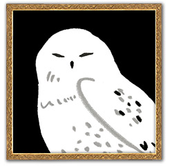 シロフクロウ柄のアイテム一覧ページへ移動する