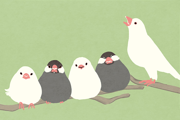 ヒラメキオリジナルデザイン「文鳥」 HIRAMEKI. original design