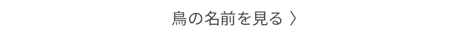 鳥名リストを見る）
