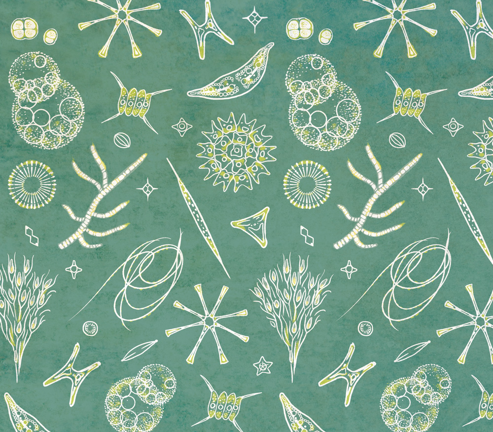 デザイン：ミクロ