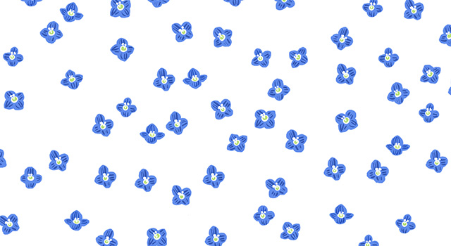 デザイン：ヒラメキオリジナル「オオイヌノフグリ」