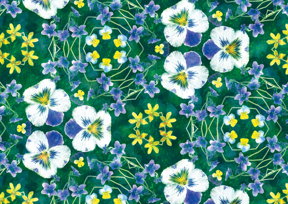 デザイン：ヒラメキオリジナル 「Viola blue」