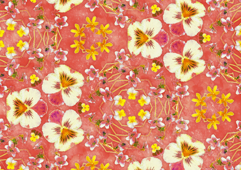 デザイン：ヒラメキオリジナル 「Viola pink」