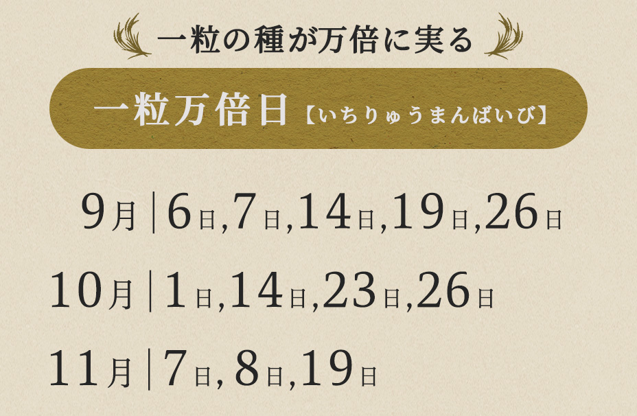 秋財布期間の一粒万倍日