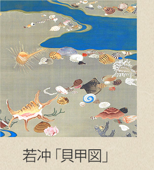 貝甲図商品一覧へ