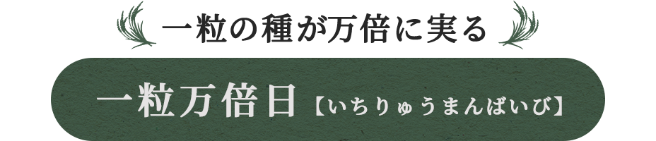 一粒の種が万倍に実る 一粒万倍日