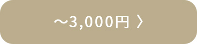 ～3,000円