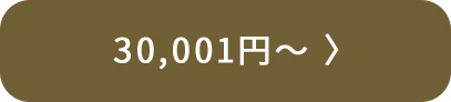 30,001円～