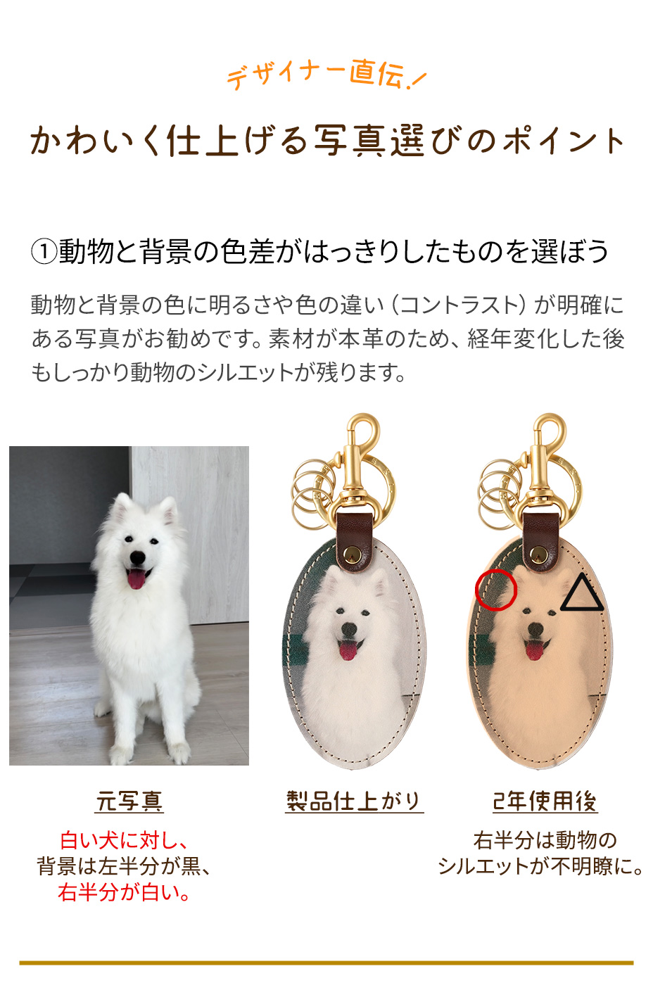 かわいく仕上げる写真選びのポイント①