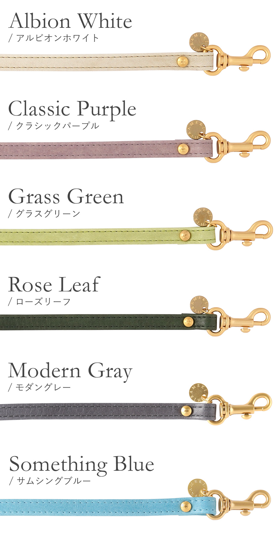 モリスカラーバリエーション