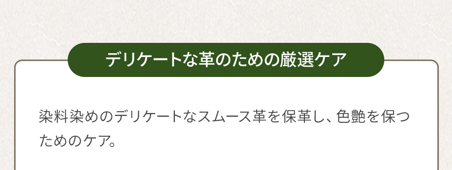 デリケートな革のための厳選ケア 染料染めのデリケートなスムース革を保革し、色艶を保つためのケア