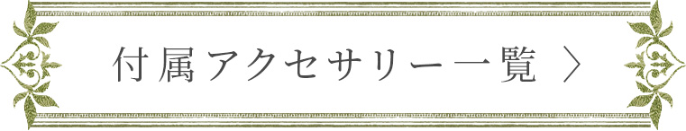付属アクセサリー一覧へ
