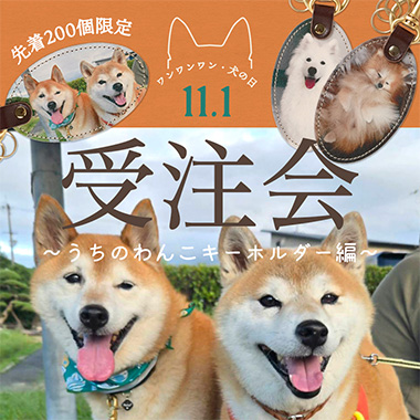 ~うちのわんこキーホルダー編~|犬の日企画
