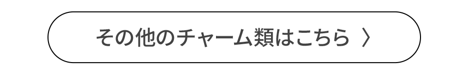 その他チャーム類はこちら
