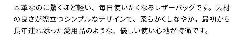 ラフヴィンテージシリーズの説明