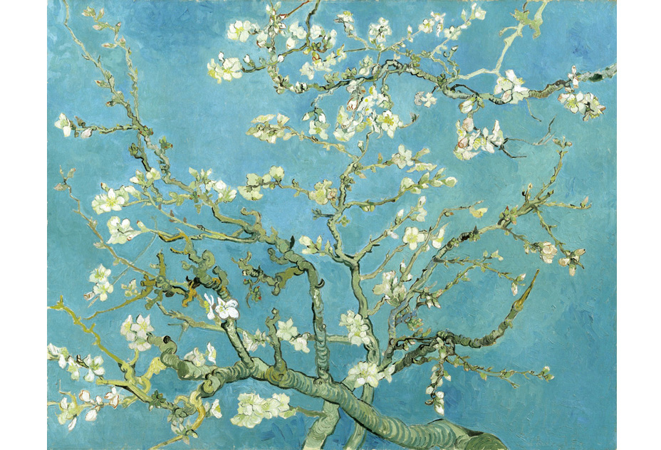 「アーモンドブロッサム」