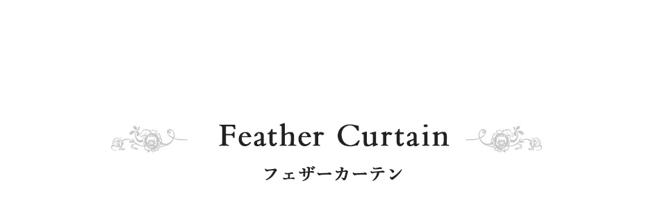 Feather Curtain フェザーカーテン