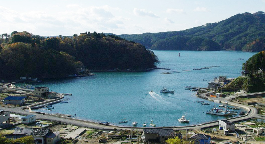 世界最高品質 気仙沼産の天然サメ革