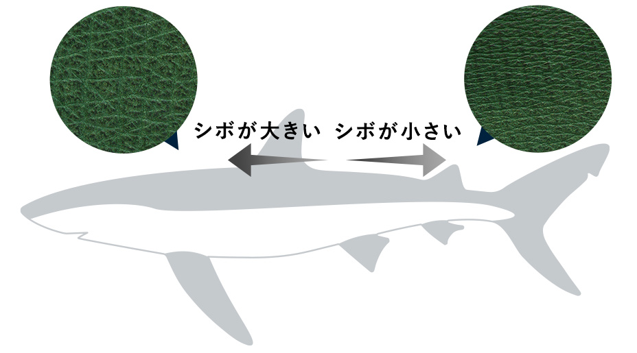 シボが大きい シボが小さい