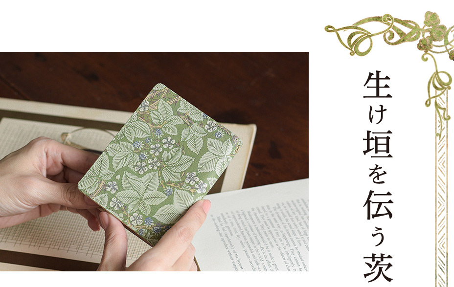 生け垣を伝う茨の蔦