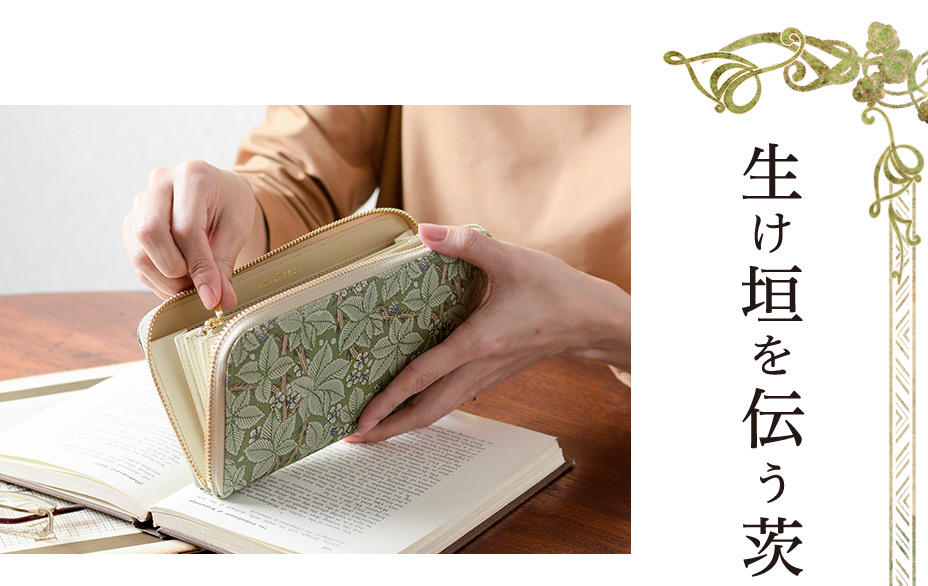 生け垣を伝う茨の蔦