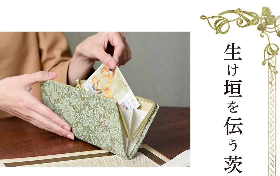 生け垣を伝う茨の蔦