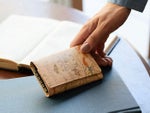 ボタンを閉じると、手にフィットするサイズ感に♪