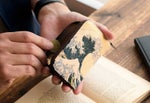片手に収まるコンパクトなサイズ感